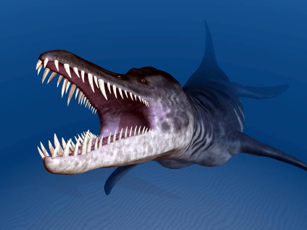 Liopleurodon un rettile marino carnivoro