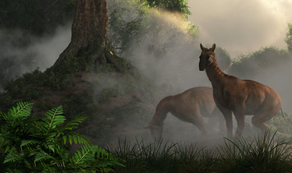 Illustrazione 3D di Macrauchenia
