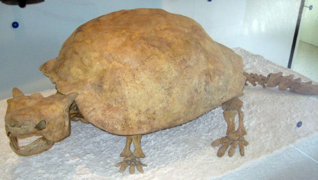 Auspicabilmente