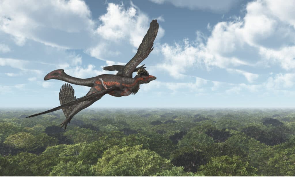 Rappresentazione artistica di un microraptor che vola sopra le cime degli alberi