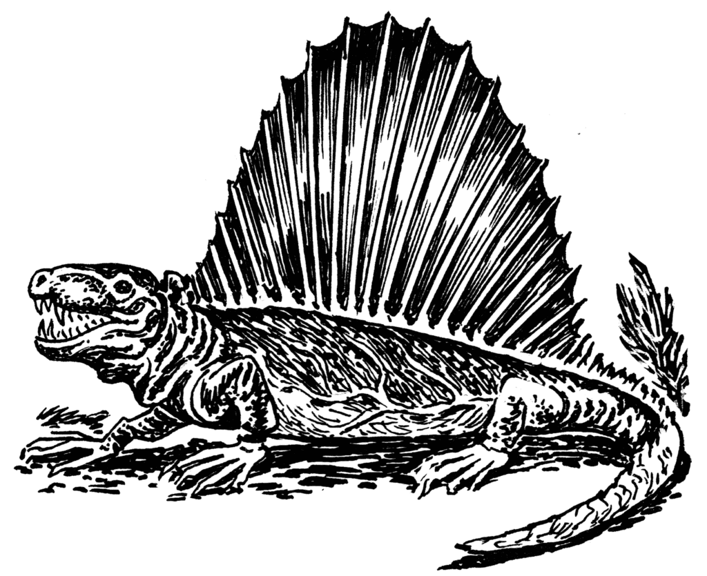 Pelicosauro