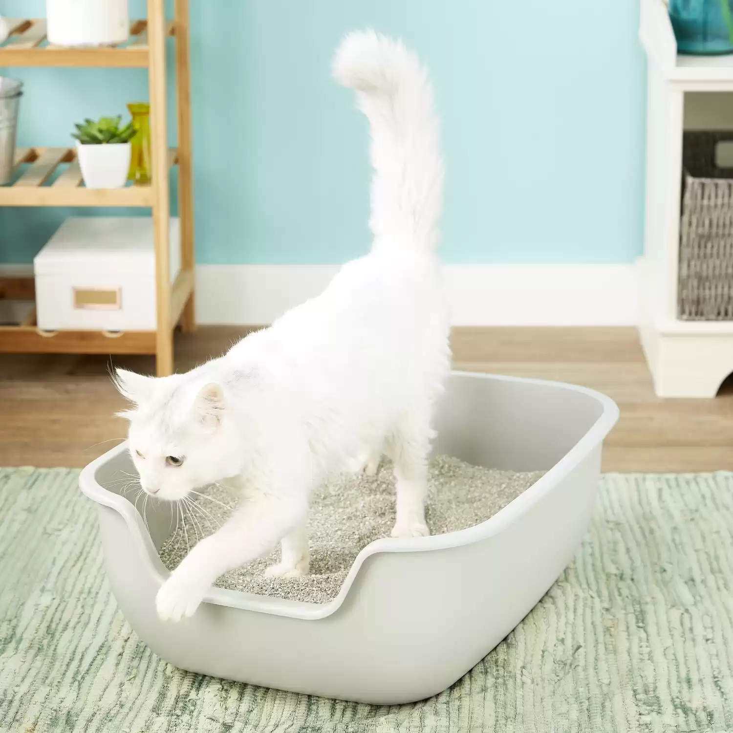 PetFusion BetterBox Lettiera antiaderente