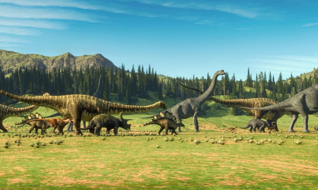 Dinosauri