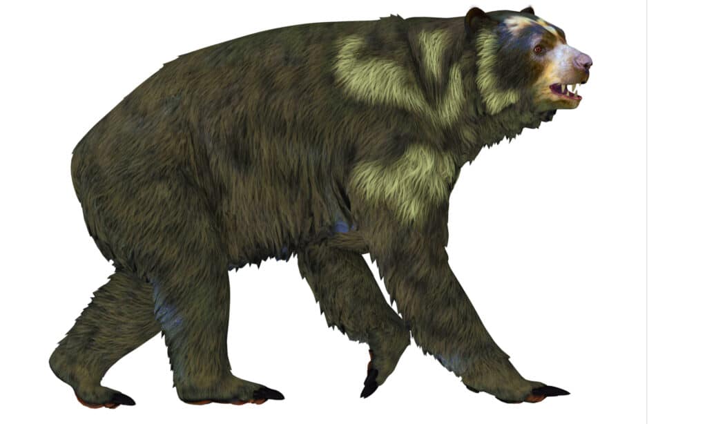 Rendering 3D di Arctodus su sfondo bianco