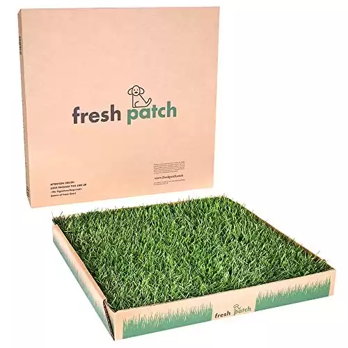 Vasino per cani usa e getta Fresh Patch con erba vera