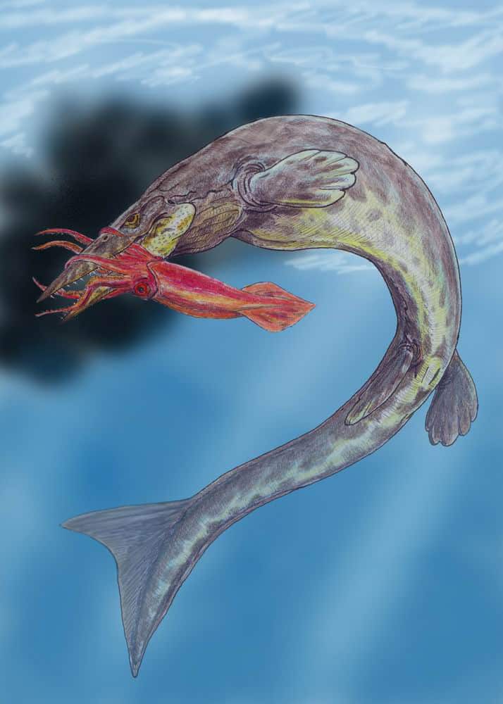 hainosauro