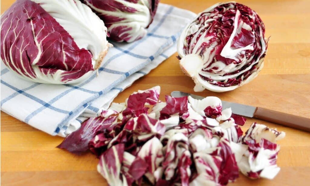 Radicchio vs Cavolo Rosso
