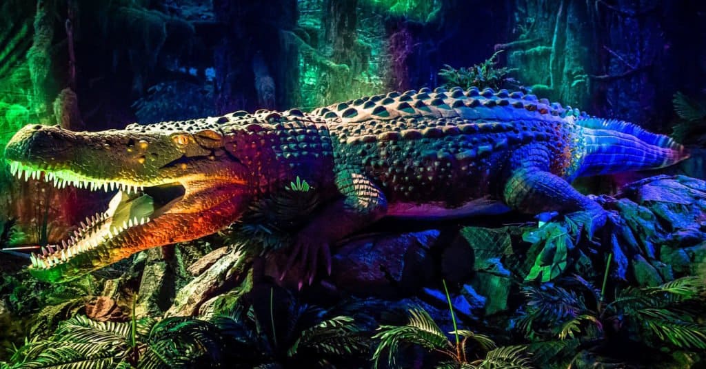 I più grandi coccodrilli di sempre: Purussaurus mirandai