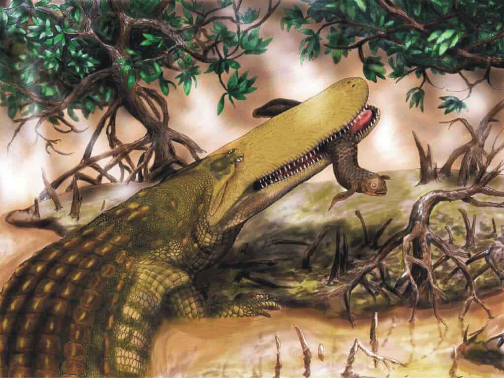 Egisuchus