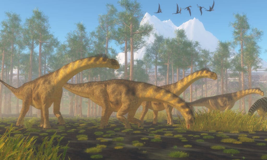 Illustrazione 3d della mandria di dinosauri Camarasaurus