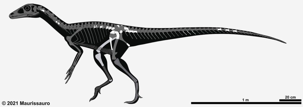 chindesauro