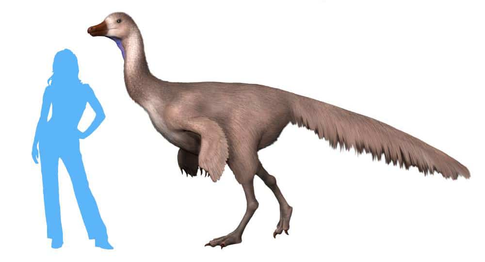 Arkansauro