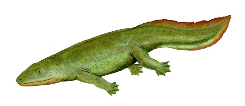 Inerpetone