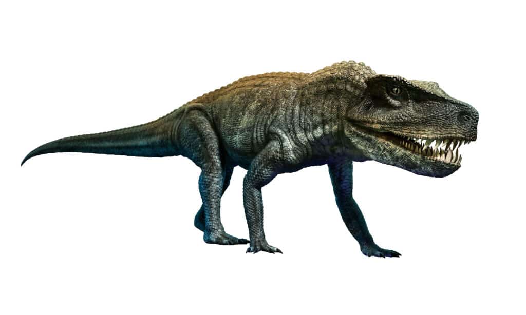 Postsuchus