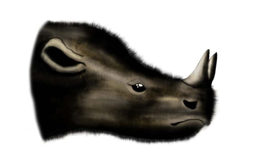 menoceras