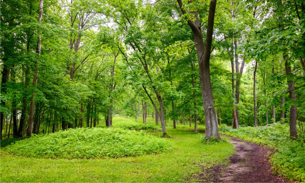 Effigy Mounds National Monument