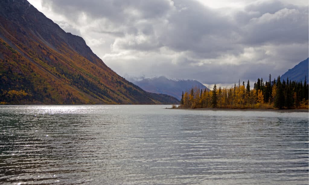 Parco nazionale e riserva di Kluane