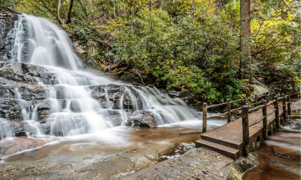 Parco Nazionale delle Grandi Montagne Fumose - Laurel Falls