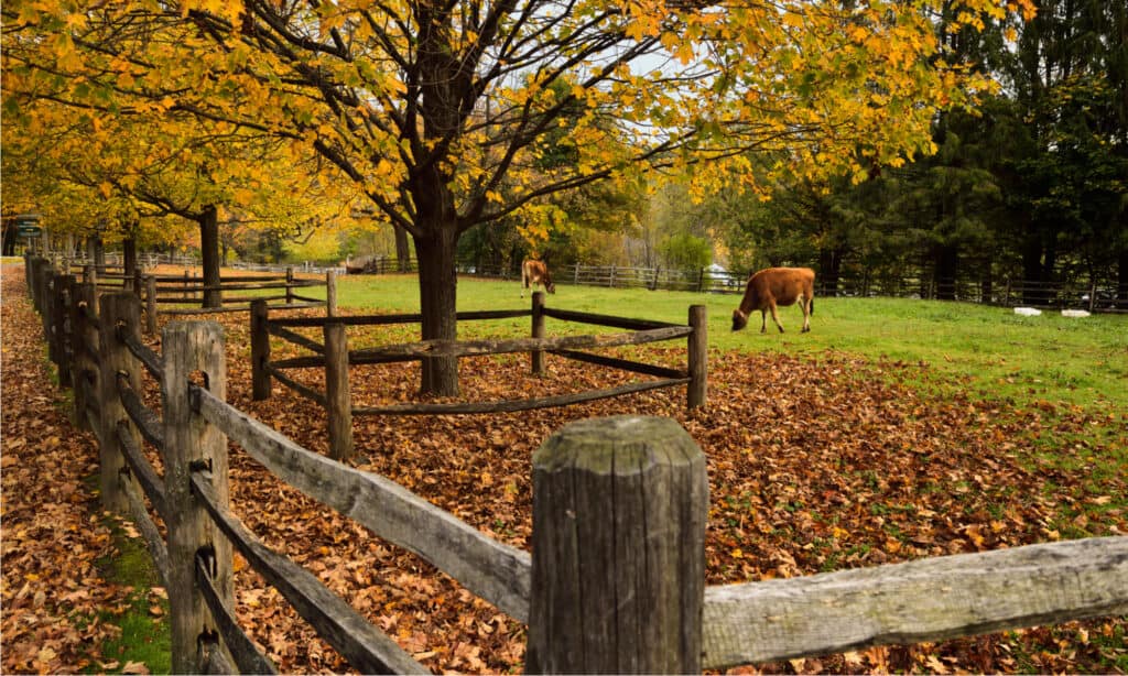 Parco storico nazionale Rockefeller - Vermont