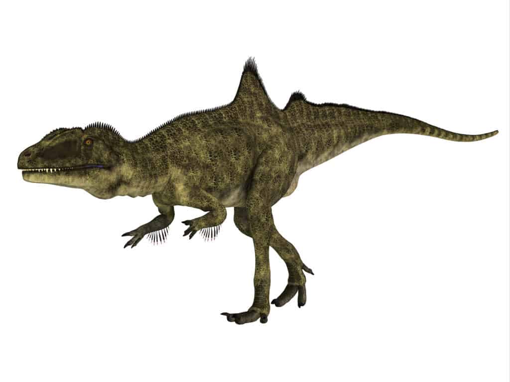 Concavenator corcovato 