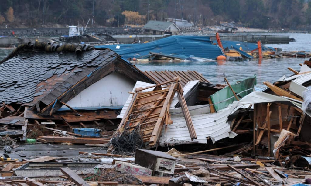 Tsunami 1