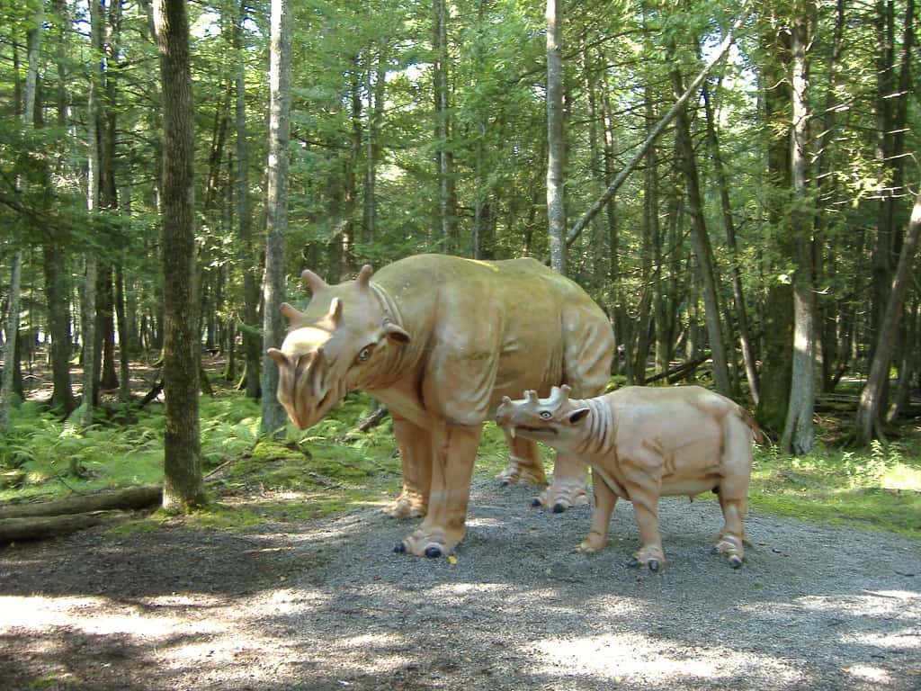 Modelli a grandezza naturale di un adulto e di un giovane Uintatherium