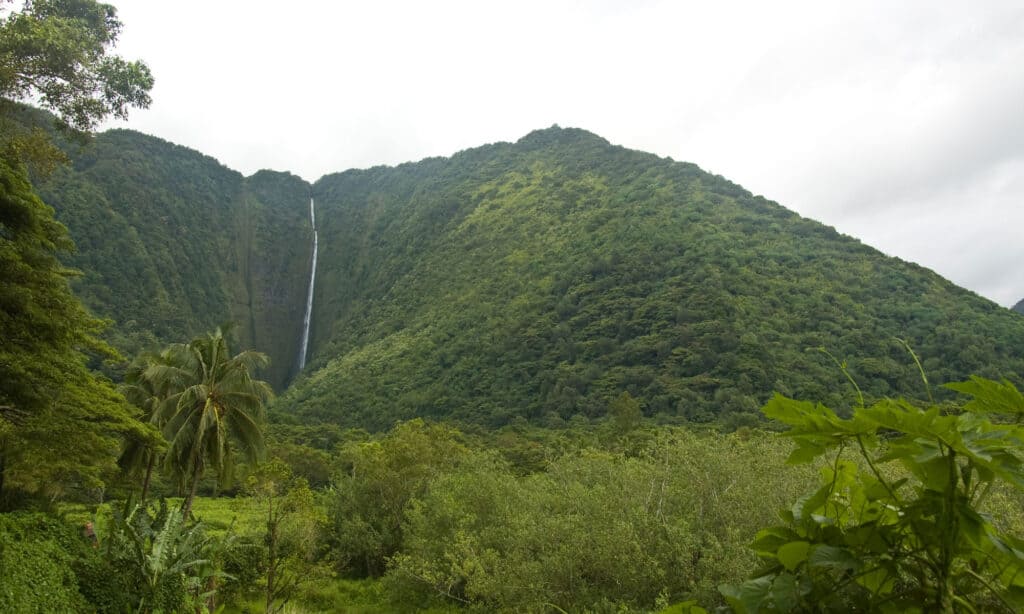 Belle cascate Hawaii