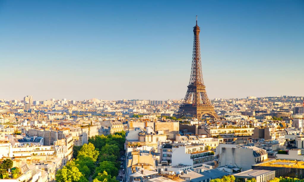 Scopri l'incredibile storia di un coccodrillo trovato nelle fogne di Parigi