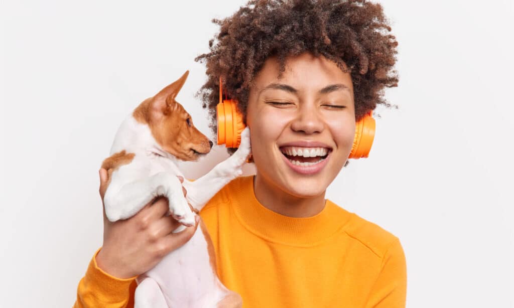 Cucciolo di Basenji che mette la zampa sul viso dei proprietari