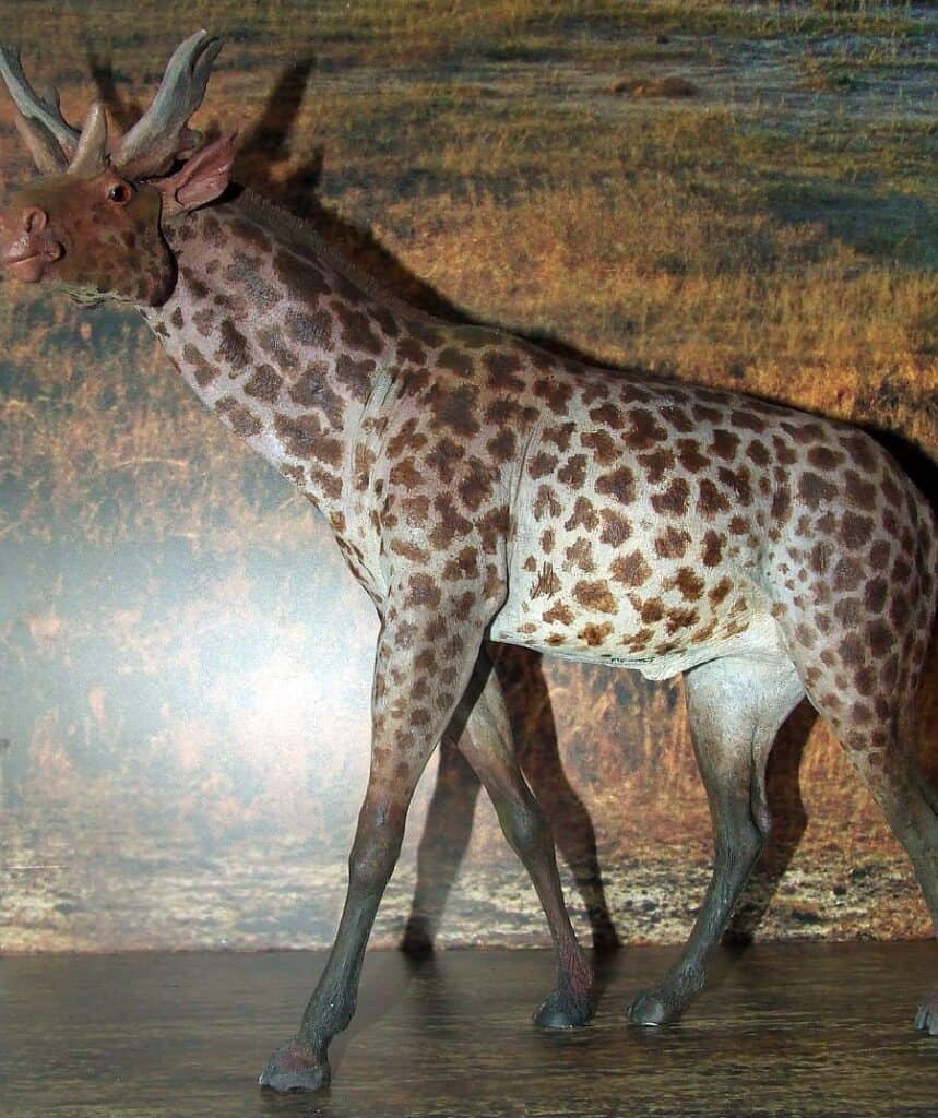 Sivaterio