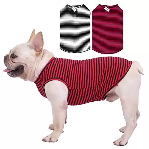 T-shirt a righe in cotone LEVIBASIC