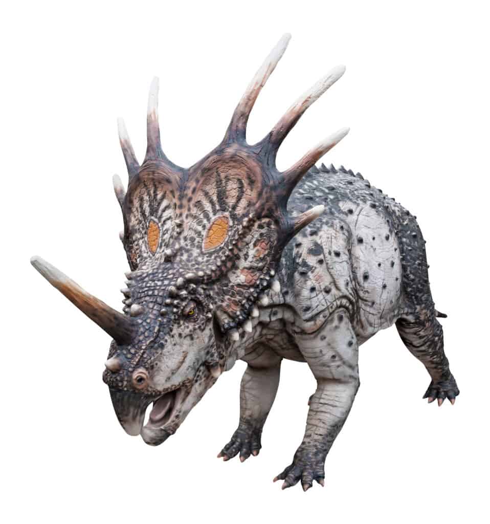 Stiracosauro