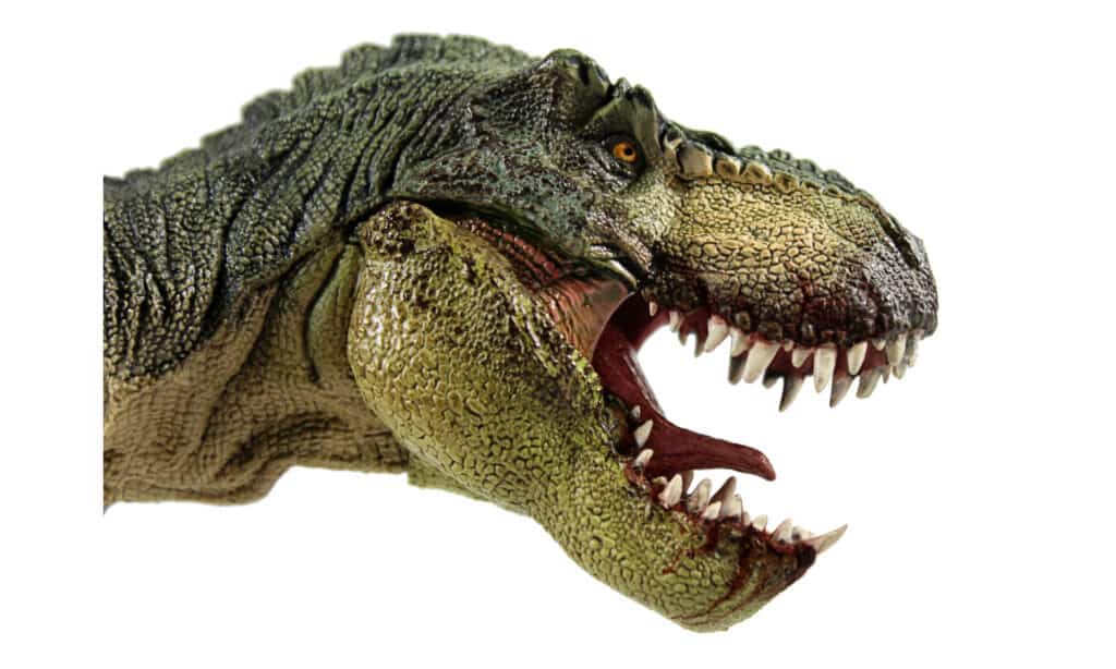 Therizinosaurus vs T-Rex: chi vincerebbe in un combattimento