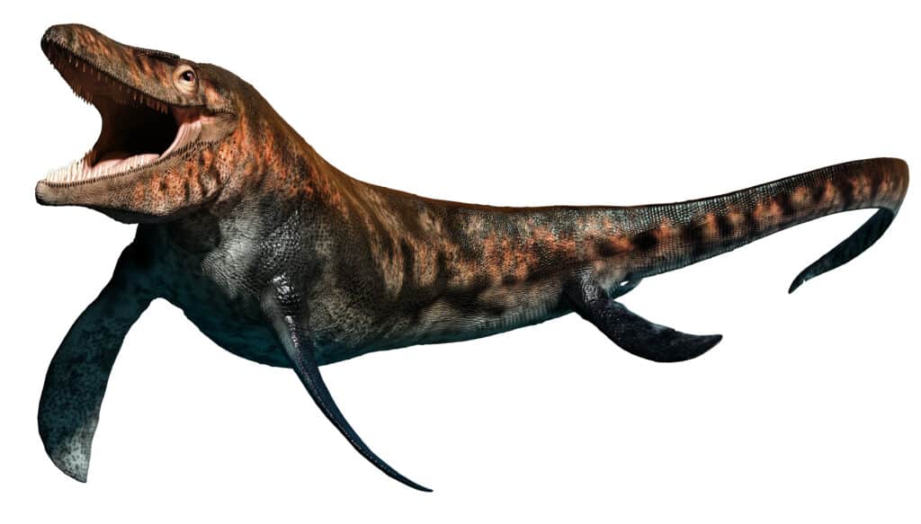 Tilosauro
