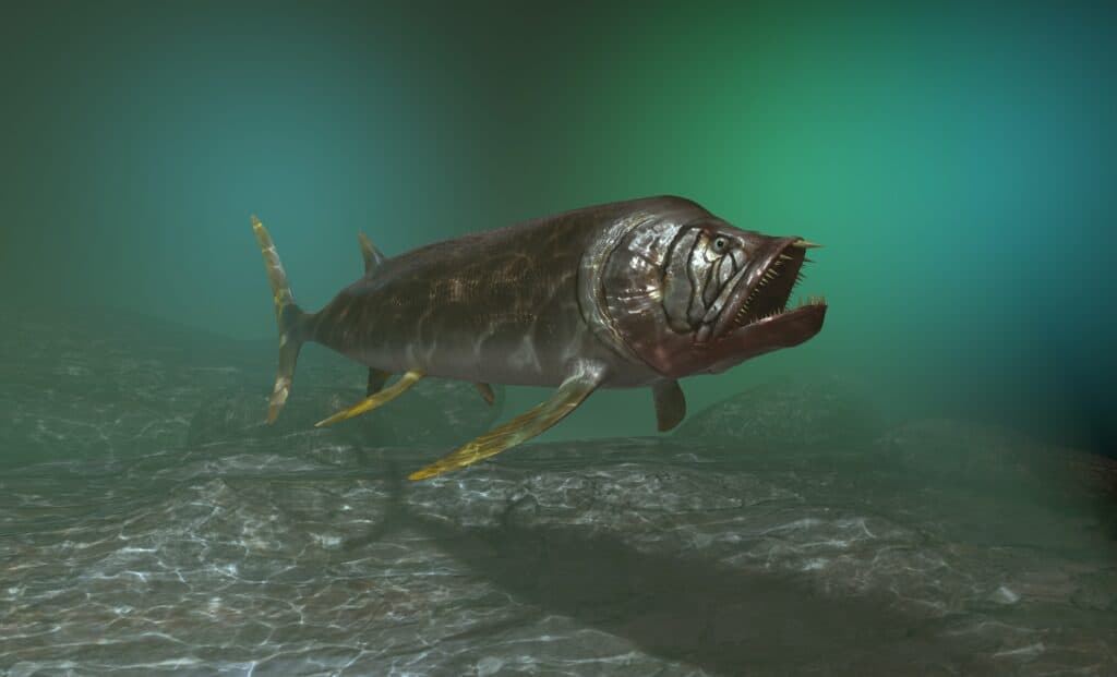 Illustrazione 3D Xiphactinus