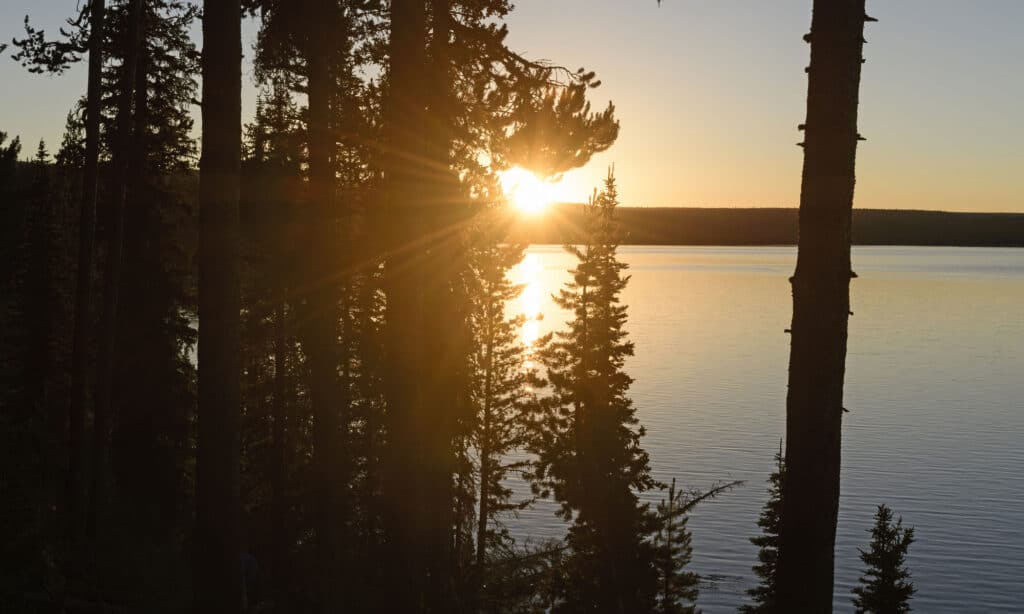 Yellowstone a luglio