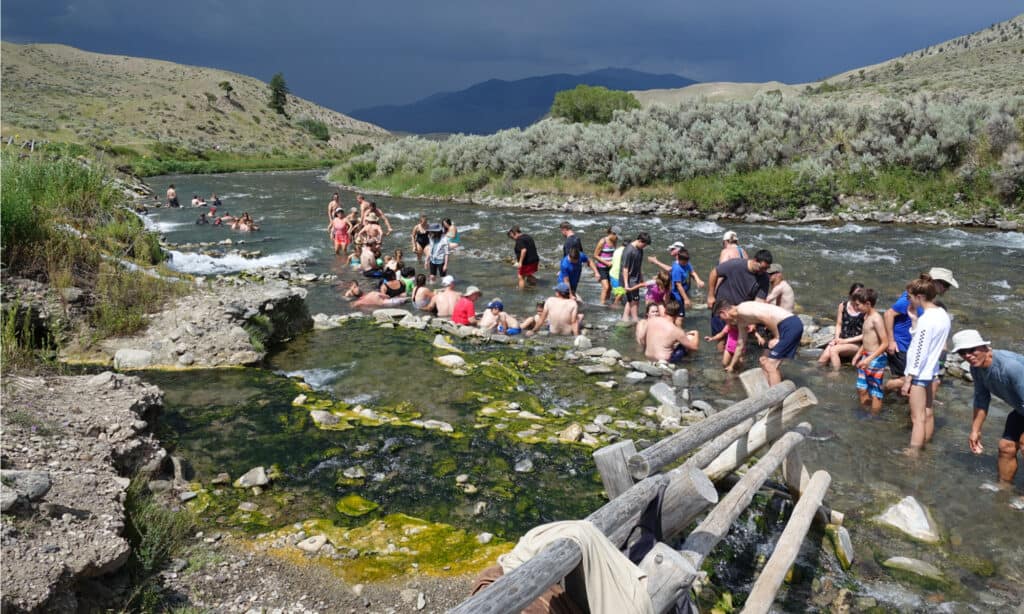 Yellowstone in estate