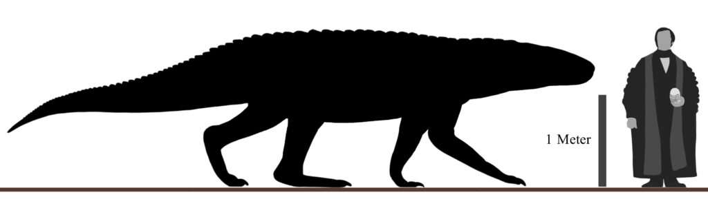 barinasuchus