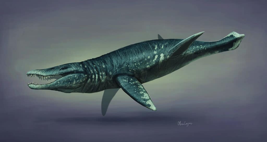 Pliosauro