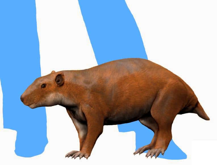 Sertichi fortunati