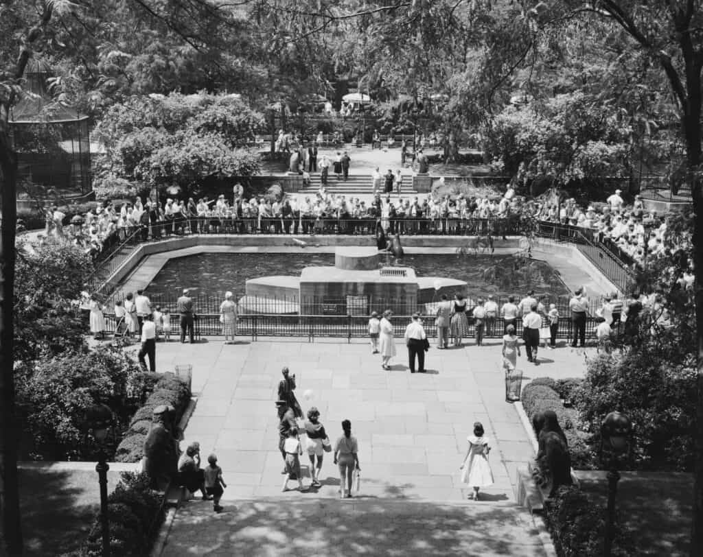 La piscina delle foche al Central Park Zoo di New York, NY