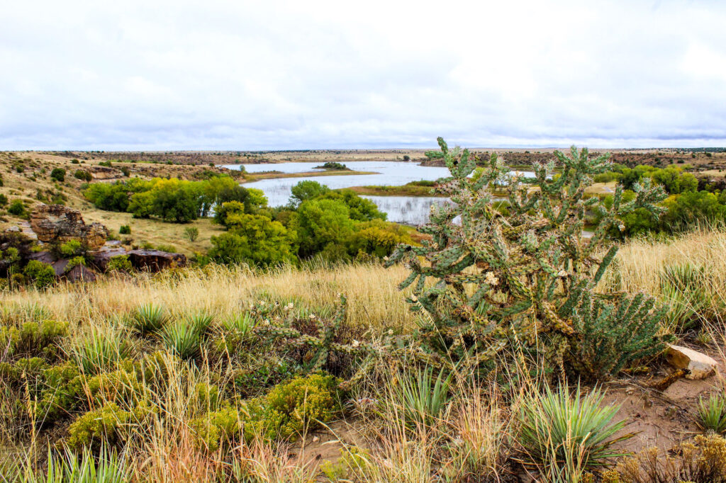Lago Carl Etling Black Mesa State Park
