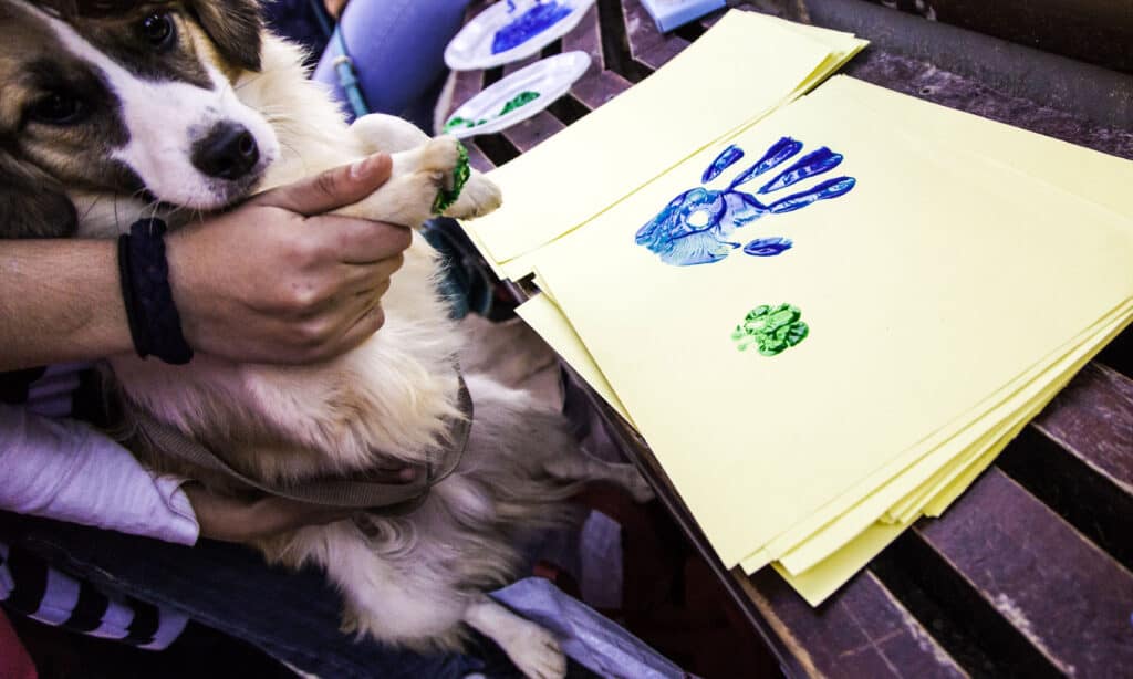 Cane di carta dell'impronta
