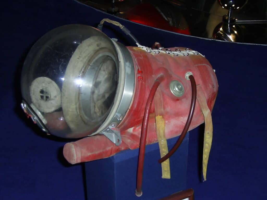 Laika, la tuta spaziale originale del cane spaziale