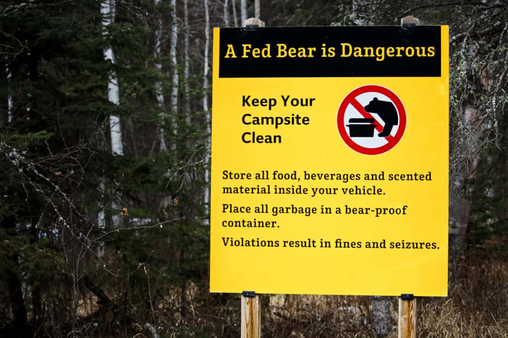 Un Fed Bear è un segno di orso pericoloso.