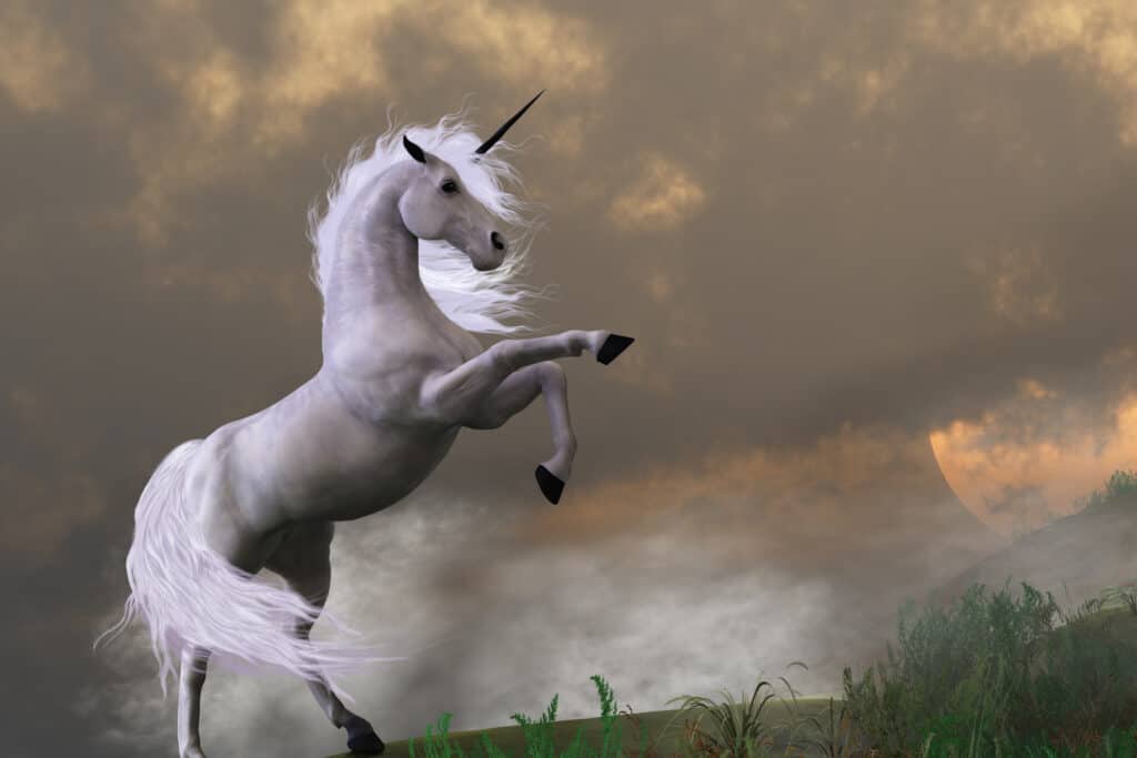 Unicorno
