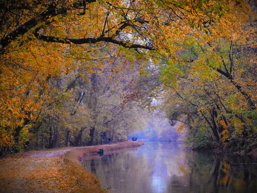 Chesapeake e il canale dell'Ohio