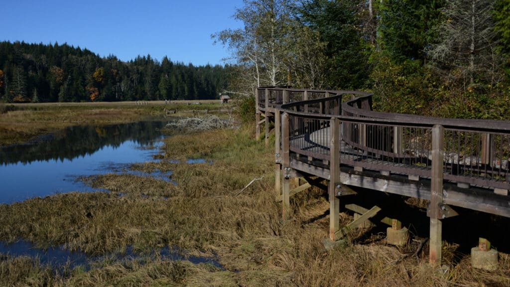 Willapa National Wildlife Refuge a Washington