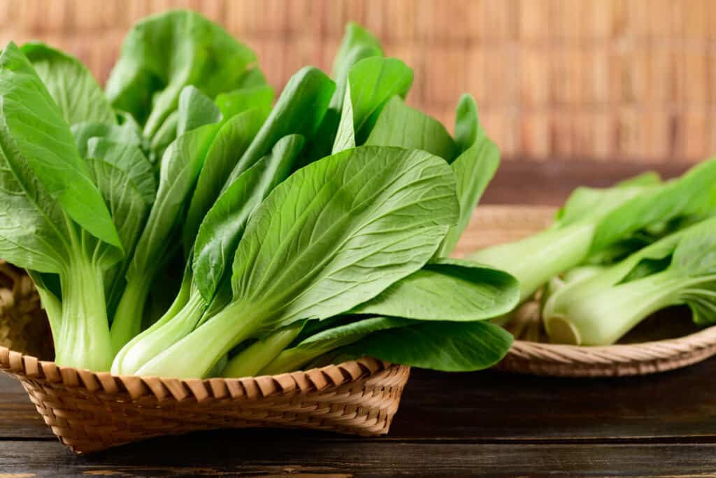 Cavolo cinese fresco.  sei piante verdi separate con grandi foglie ovali con venature evidenti giacciono in un cesto di canna intrecciata, dietro di loro, altre tre piante di bok poggiano su un piatto di canna intrecciata.  Lo sfondo va fuori fuoco muro di rattan.