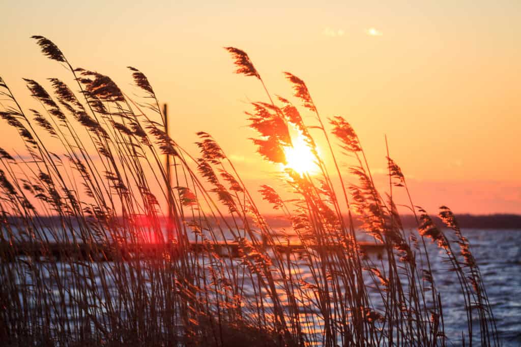 Baia di Barnegat, New Jersey